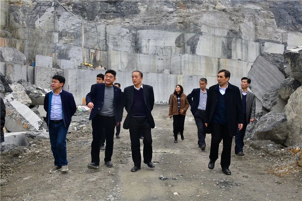 中國煤炭地質總局領導到廣西忻城(銀白龍大理石產地)考察石材產業