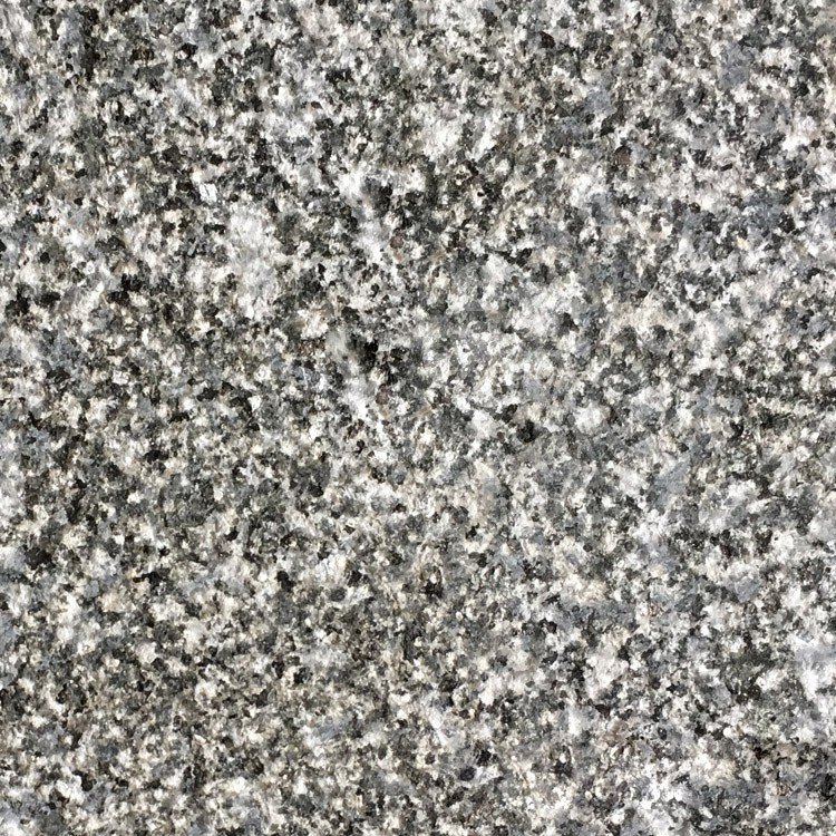 廣西芝麻黑石材