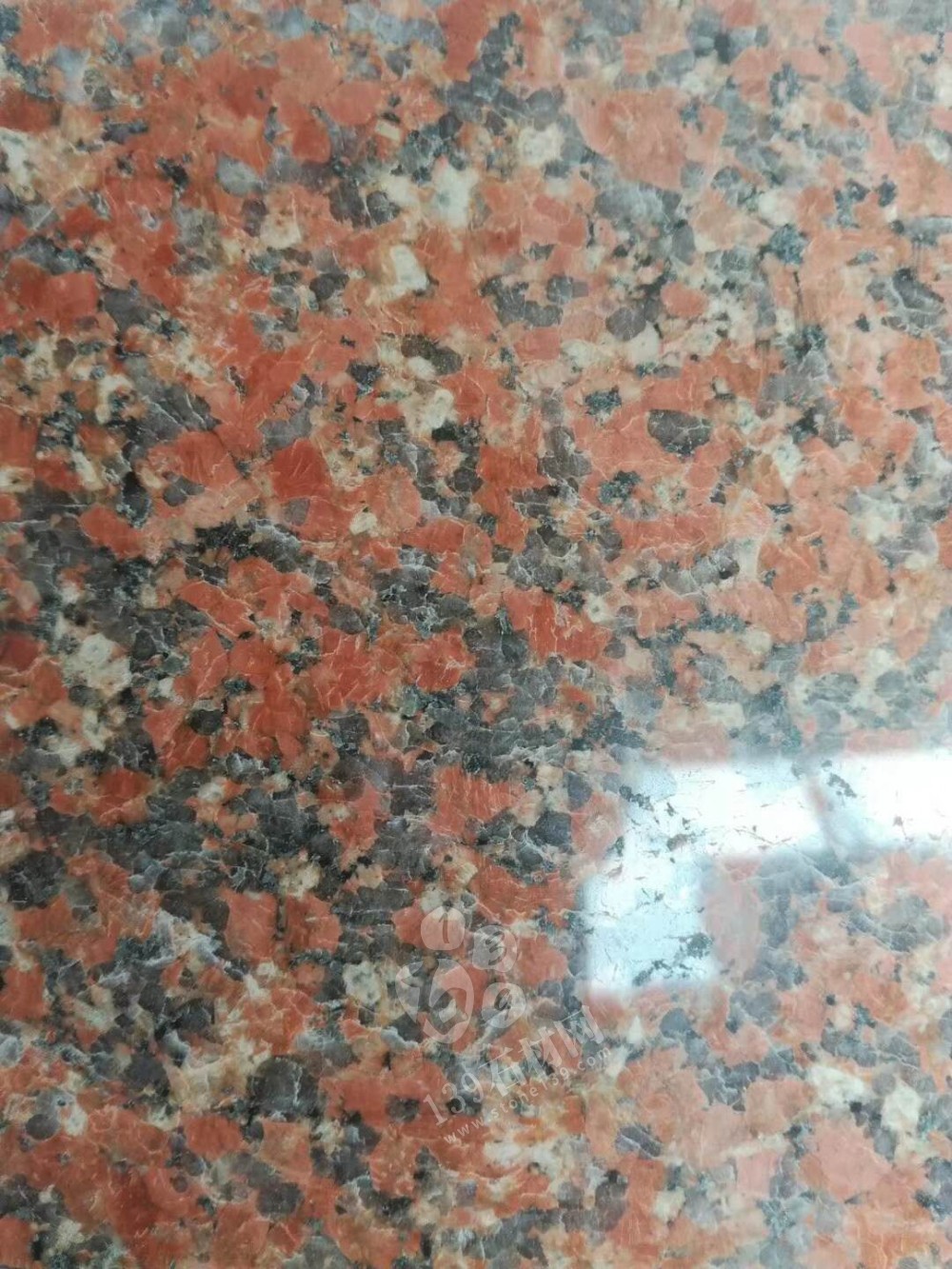 興鼎紅花崗巖 石材新品