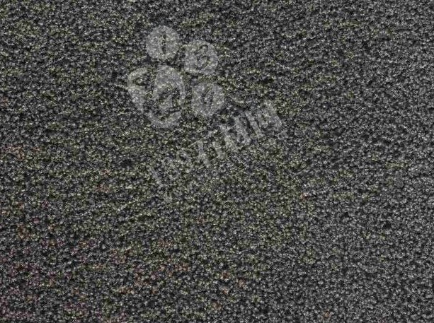 豐鎮(zhèn)黑（蒙古黑、中國黑）石材