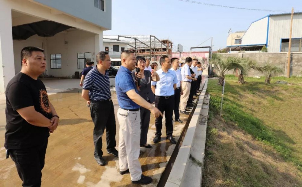 麻城要騰飛了！市政協(xié)黨組書記、主席蒞臨石材園