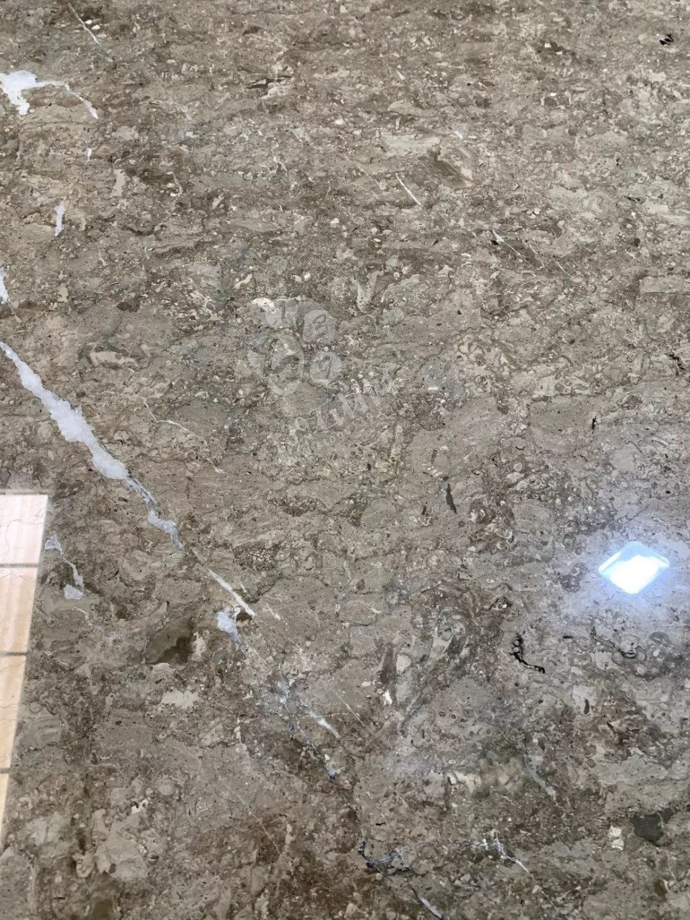 溫德姆灰（雅士灰）—2019重點推廣產品