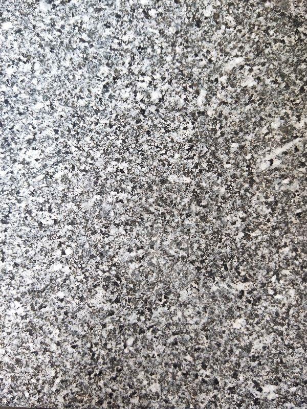 芝麻黑替代品桐廬芝麻青(浙江芝麻黑)