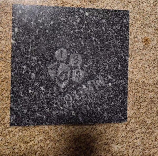 芝麻黑替代品桐廬芝麻青(浙江芝麻黑)