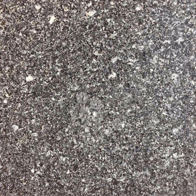 芝麻黑替代品桐廬芝麻青(浙江芝麻黑)