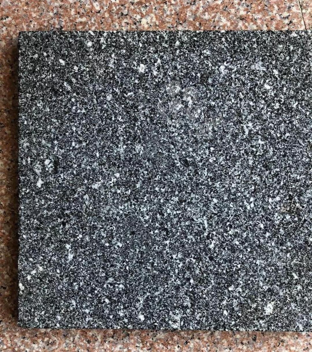 芝麻黑替代品桐廬芝麻青(浙江芝麻黑)