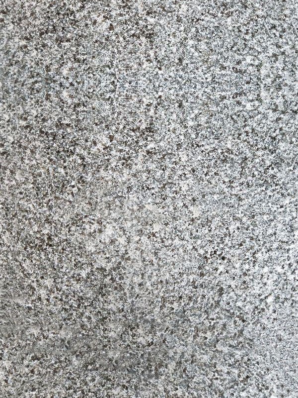 芝麻黑替代品桐廬芝麻青(浙江芝麻黑)