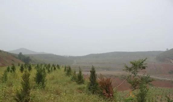 河南滎陽南部石材礦山現狀:生態修復初見成效