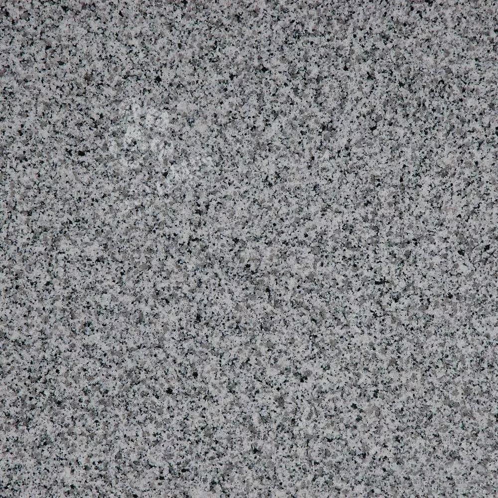 廉江市（廣東芝麻白、芝麻灰、浪花白產(chǎn)地）領(lǐng)導(dǎo)調(diào)研塘蓬鎮(zhèn)石材產(chǎn)業(yè)基地項目建設(shè)工作