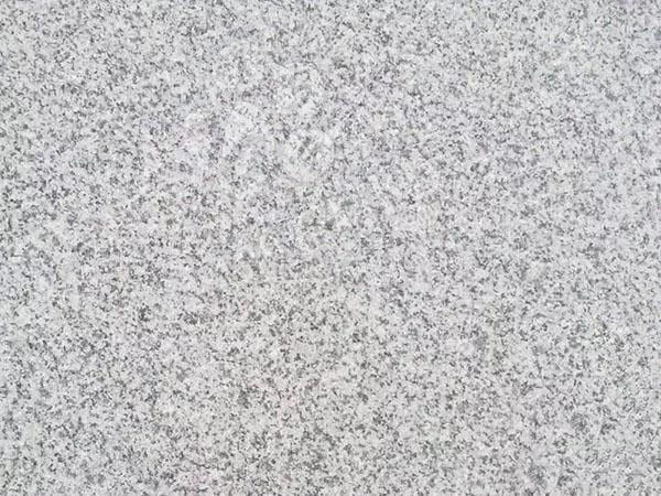 廉江市（廣東芝麻白、芝麻灰、浪花白產(chǎn)地）領(lǐng)導(dǎo)調(diào)研塘蓬鎮(zhèn)石材產(chǎn)業(yè)基地項目建設(shè)工作