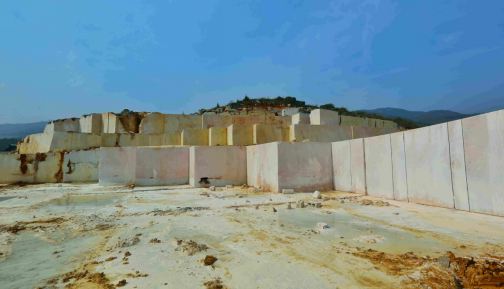 【巨鼎實業】貴州思南縣委副書記、縣長席龍海一行 蒞臨我司參觀調研