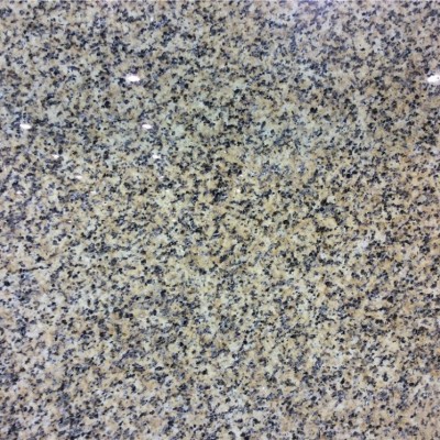 優(yōu)質內蒙新卡麥 菊花黃內蒙新卡麥