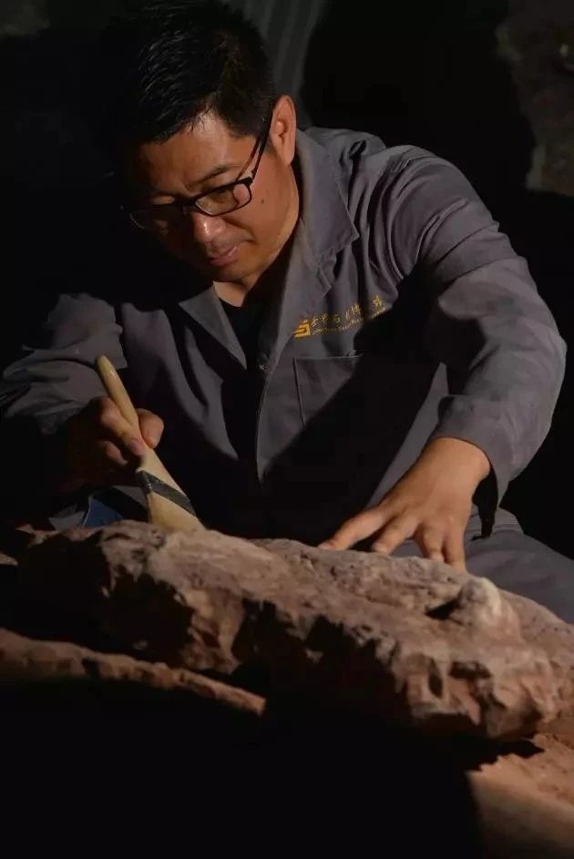 中國發現霸王龍足跡，收藏于南安水頭鎮英良世界石材自然歷史博物館