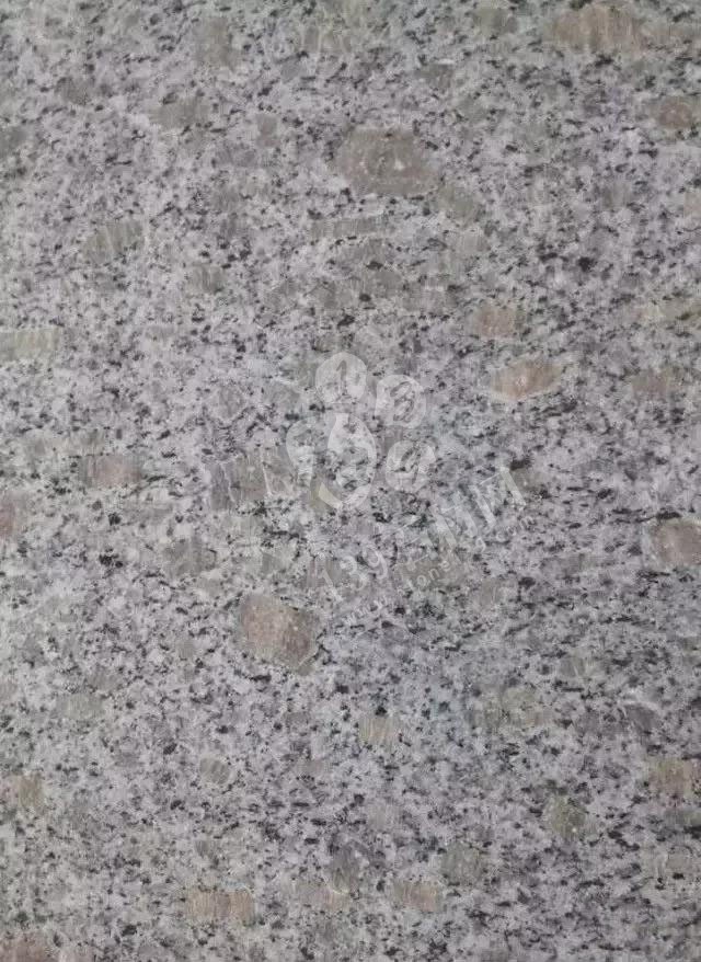 山東招遠(yuǎn)珍珠花、珍珠紅、珍珠灰