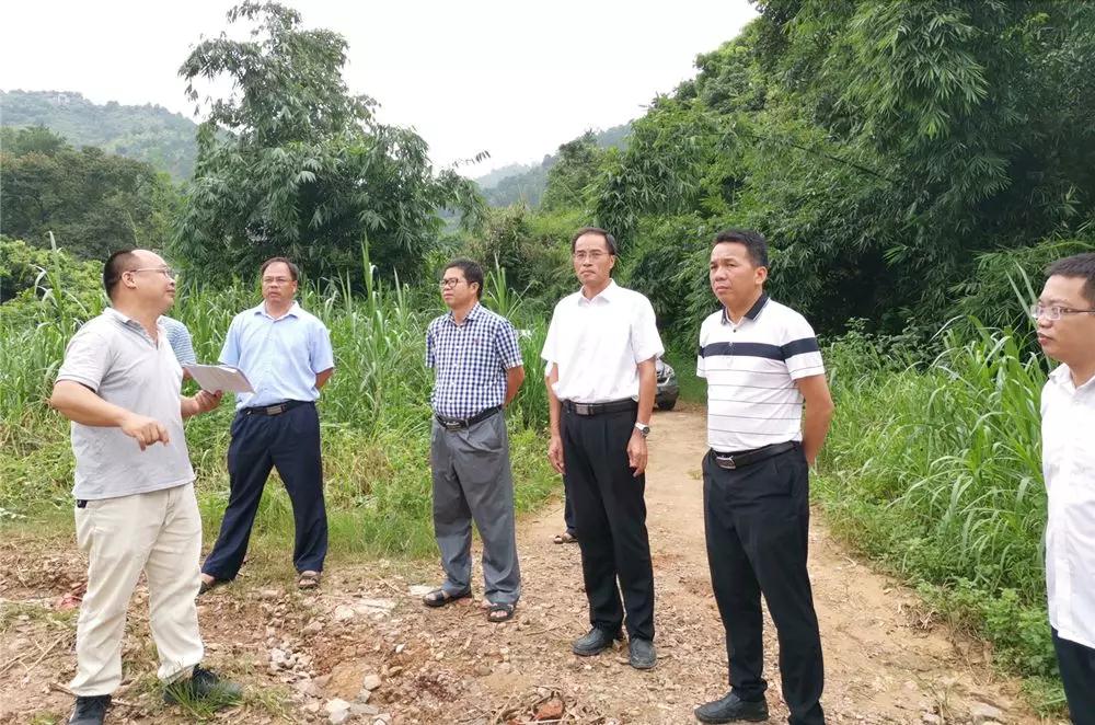 聚焦生態環境問題，局長到岑溪市督導檢查石材加工區問題