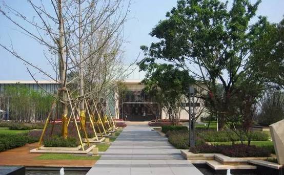 花崗巖石材樹池園藝環境石應用案例欣賞