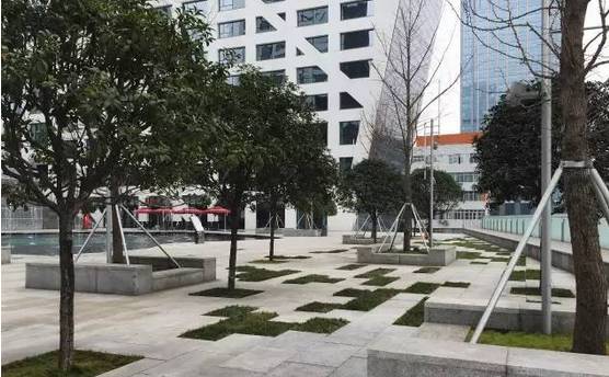 花崗巖石材樹池園藝環境石應用案例欣賞