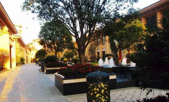 花崗巖石材樹池園藝環境石應用案例欣賞