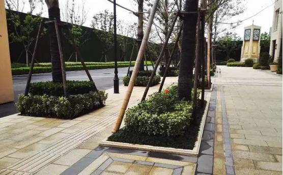 花崗巖石材樹池園藝環境石應用案例欣賞