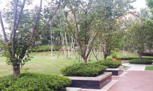 花崗巖石材樹池園藝環境石應用案例欣賞