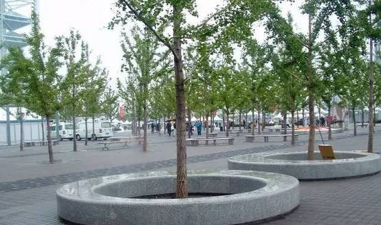 花崗巖石材樹池園藝環境石應用案例欣賞