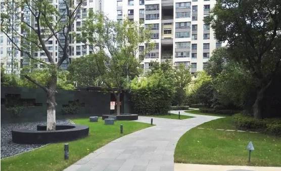 花崗巖石材樹池園藝環境石應用案例欣賞