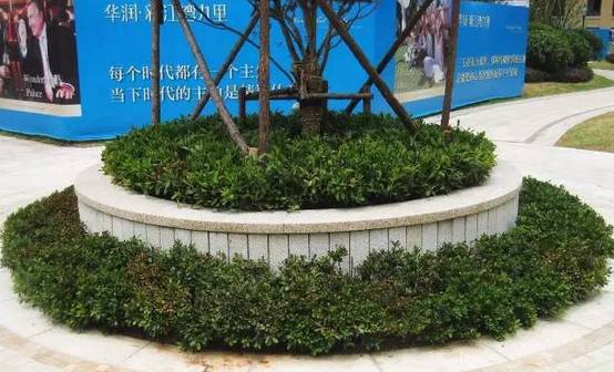 花崗巖石材樹池園藝環境石應用案例欣賞