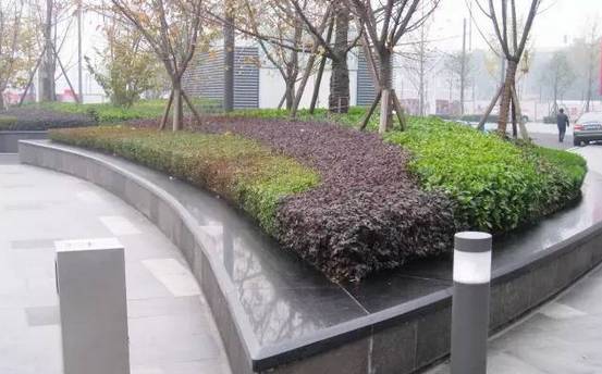 花崗巖石材樹池園藝環境石應用案例欣賞