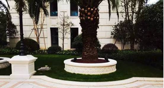 花崗巖石材樹池園藝環境石應用案例欣賞