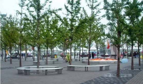 花崗巖石材樹池園藝環境石應用案例欣賞