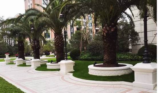 花崗巖石材樹池園藝環境石應用案例欣賞