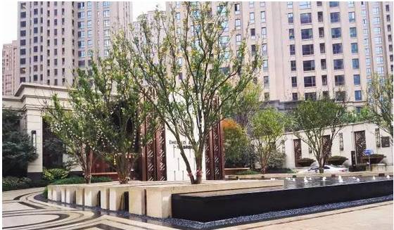 花崗巖石材樹池園藝環境石應用案例欣賞