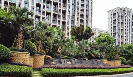 花崗巖石材樹池園藝環境石應用案例欣賞