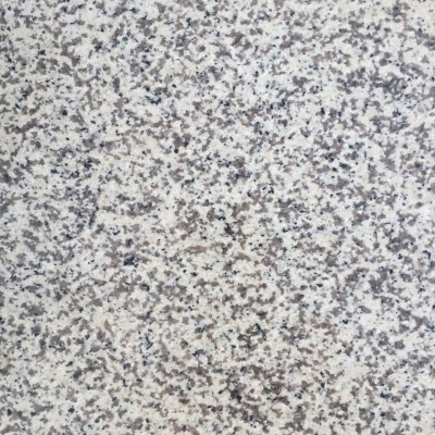 廣東大白花廠家承接各種規格板、毛板加工定制