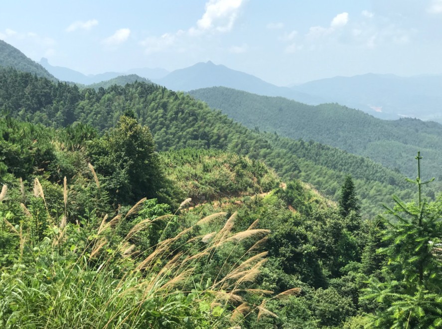 富強石材董事長彭宜斌：“綠色礦山——可持續發展勢在必行”演講紀實