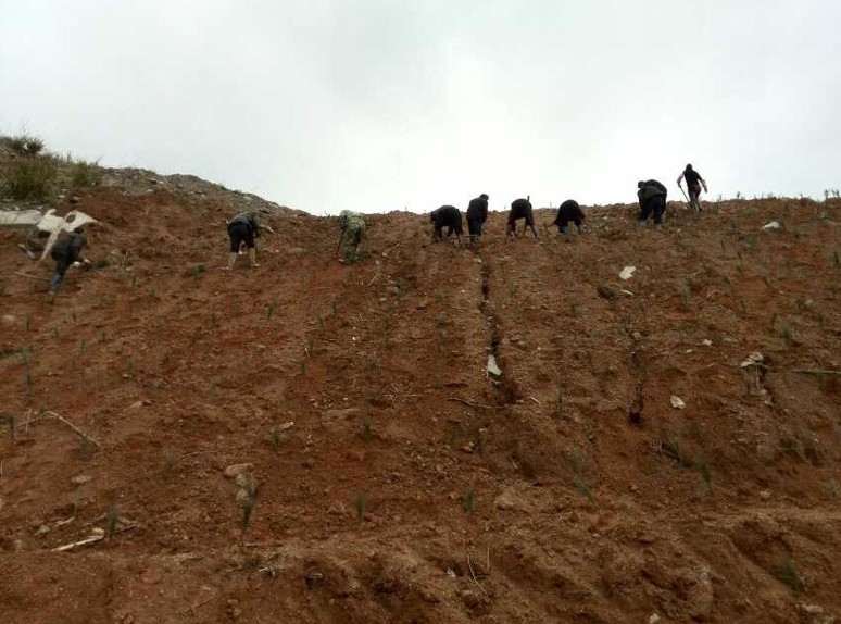 富強石材董事長彭宜斌：“綠色礦山——可持續發展勢在必行”演講紀實