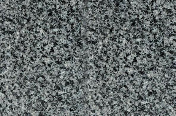 中國小藍(lán)寶(屏南654)替代長泰芝麻黑