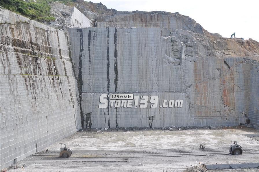 中國小藍(lán)寶(屏南654)替代長泰芝麻黑