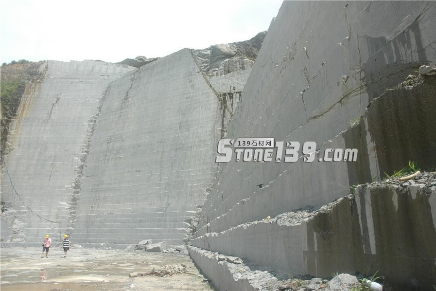 中國小藍(lán)寶(屏南654)替代長泰芝麻黑