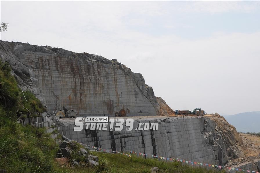 中國小藍(lán)寶(屏南654)替代長泰芝麻黑