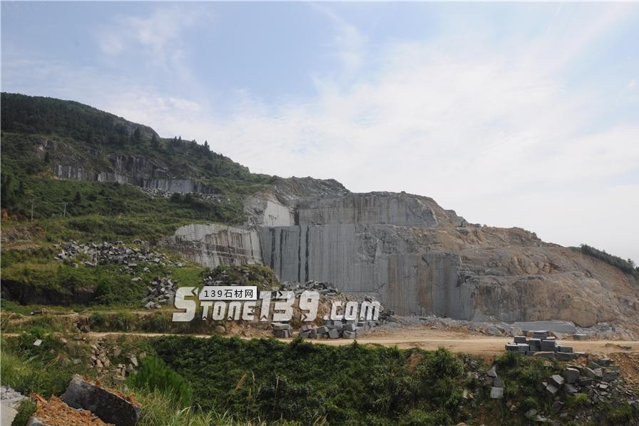 中國小藍(lán)寶(屏南654)替代長泰芝麻黑