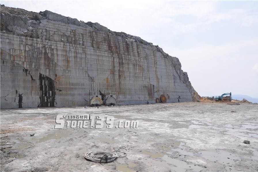 中國小藍(lán)寶(屏南654)替代長泰芝麻黑