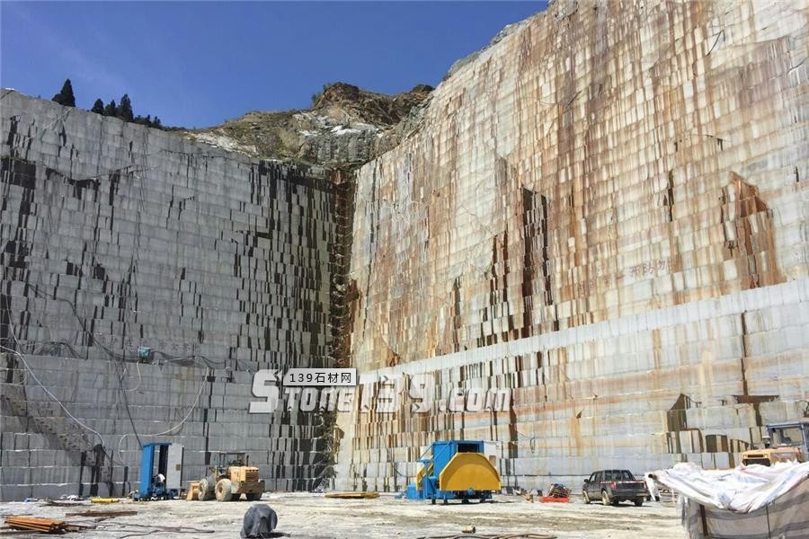 中國小藍(lán)寶(屏南654)替代長泰芝麻黑