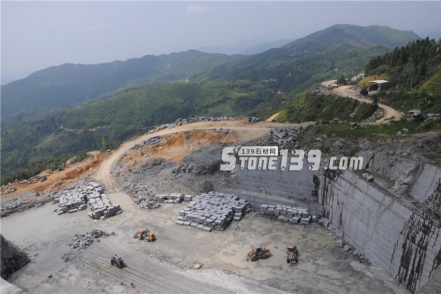 中國小藍(lán)寶(屏南654)替代長泰芝麻黑