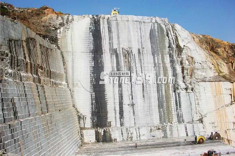 中國小藍(lán)寶(屏南654)替代長泰芝麻黑