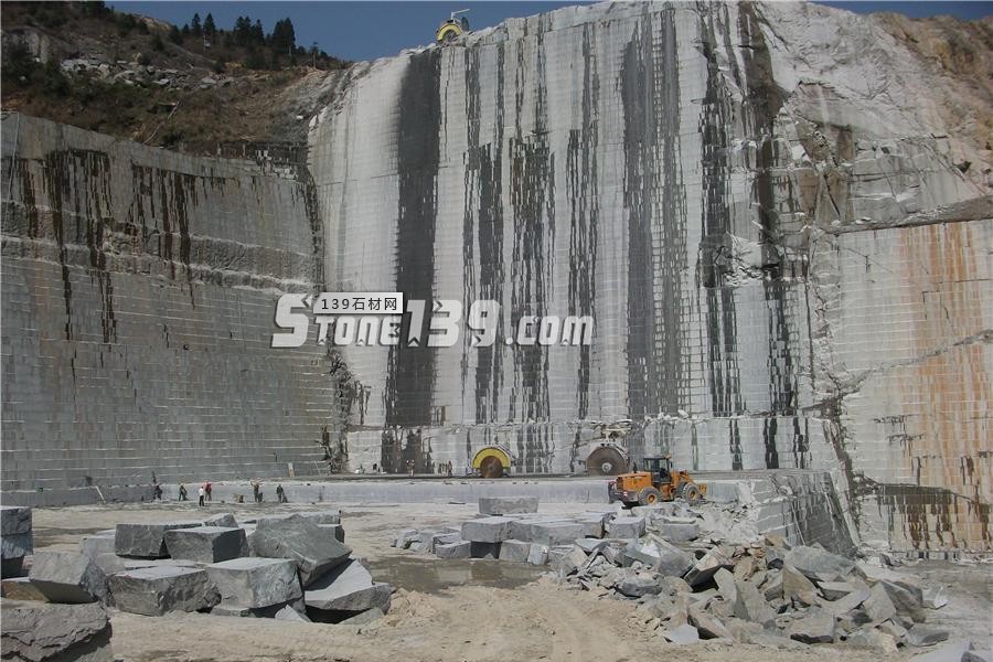 中國小藍(lán)寶(屏南654)替代長泰芝麻黑