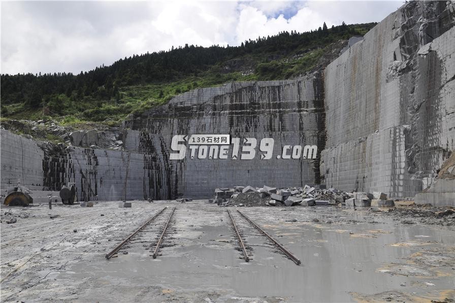 中國小藍(lán)寶(屏南654)替代長泰芝麻黑