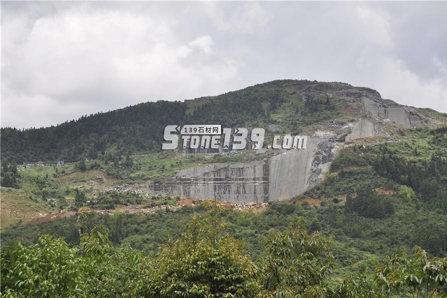 中國小藍(lán)寶(屏南654)替代長泰芝麻黑