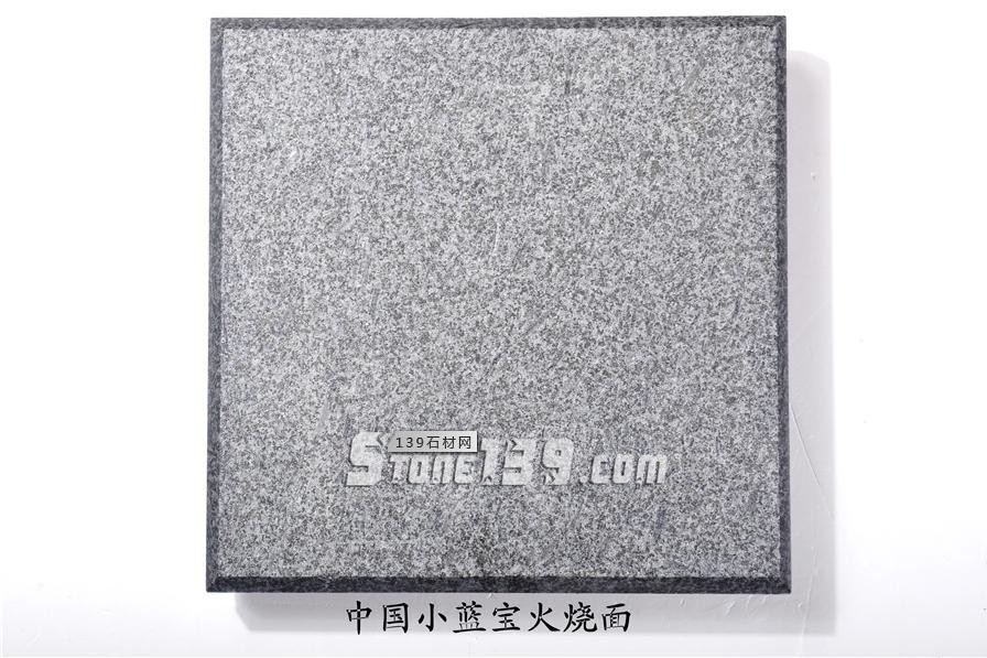 中國小藍(lán)寶(屏南654)替代長泰芝麻黑