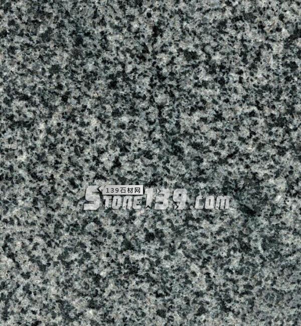 中國小藍(lán)寶(屏南654)替代長泰芝麻黑